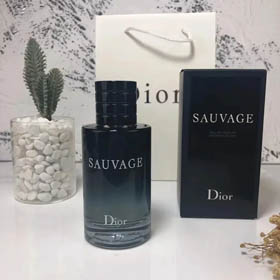 Dior Perfume（30+ style）-0266